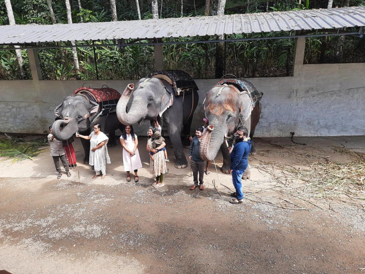 Sopanam Heritage Thekkady Bagian luar foto